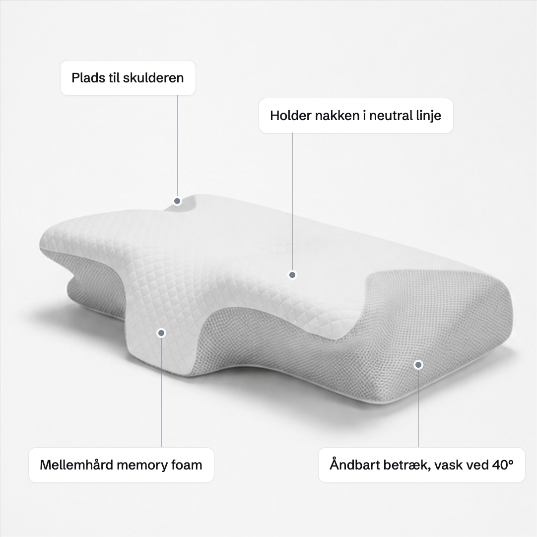 Butterfly Pillow