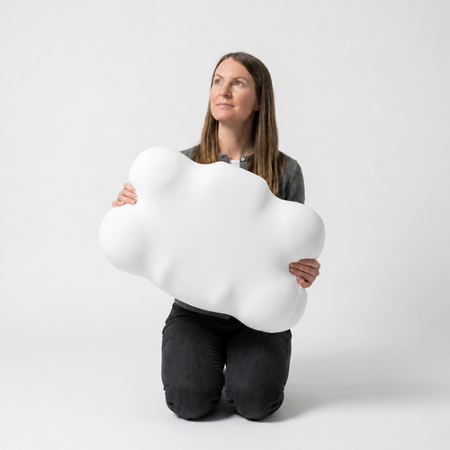 Airbutterfly Pillow