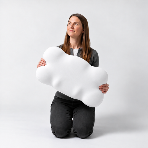 Airbutterfly Pillow